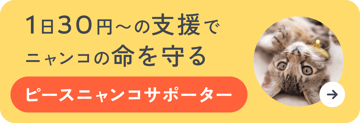 naynkoBTNp_supporter2504