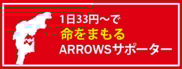 arrowsBTNj_supporter2507