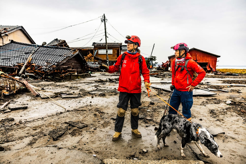 ピースウィンズ_令和6年能登半島地震写真_災害救助犬