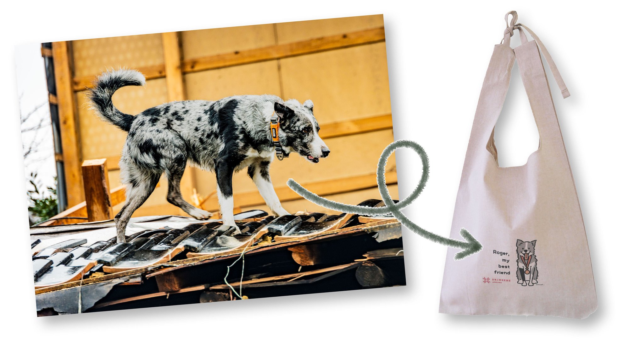 災害救助犬ロジャー+Bag